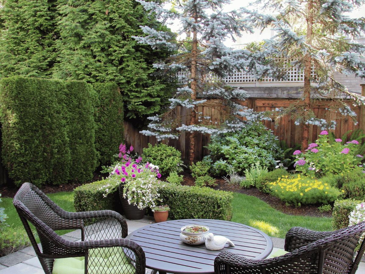 Kleiner Garten mit Stühlen und Pflanzen