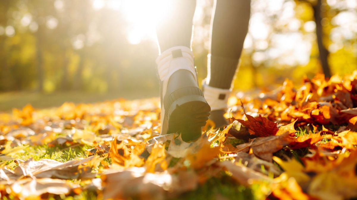 Frau mit Wanderschuhen läuft durch den Wald im Herbst.