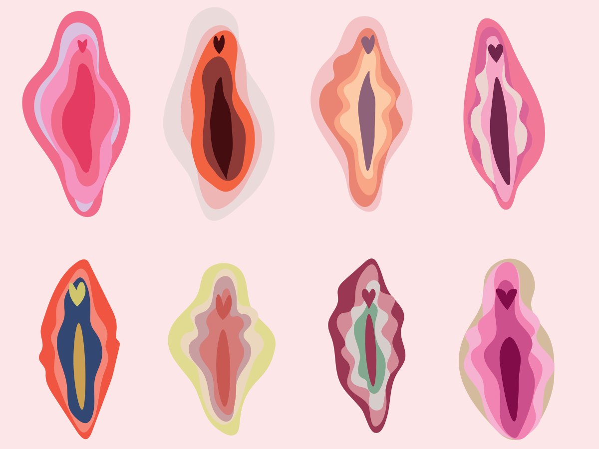 Grafik von verschiedenen Vulvas