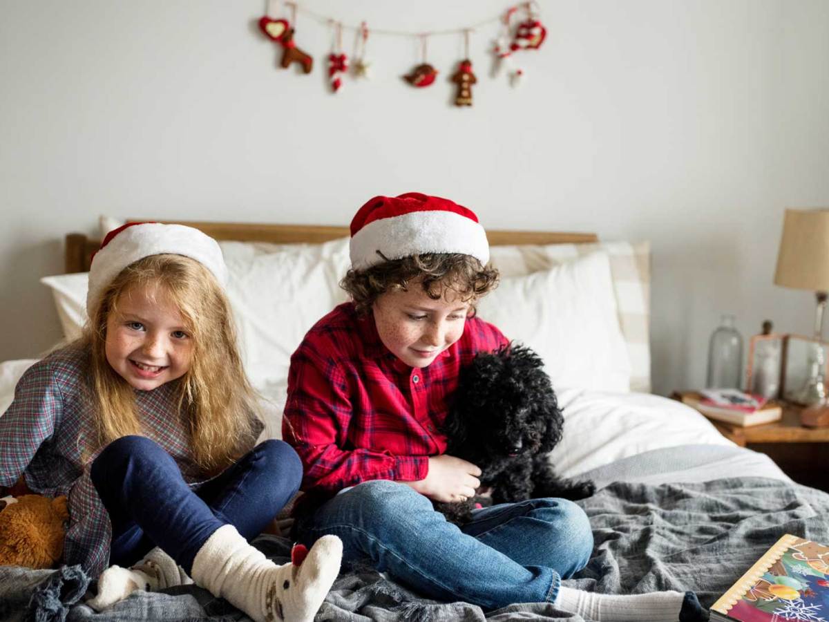 Geschwister sitzen auf dem Bett und spielen mit einem Pl&uuml;schtier und dem kleinen Familienhund.