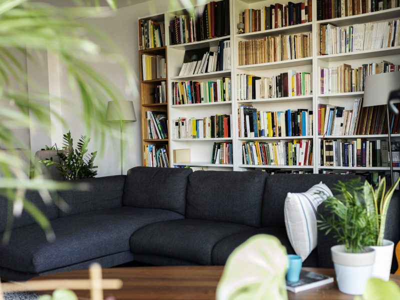 Wohnzimmer mit Bücherwand