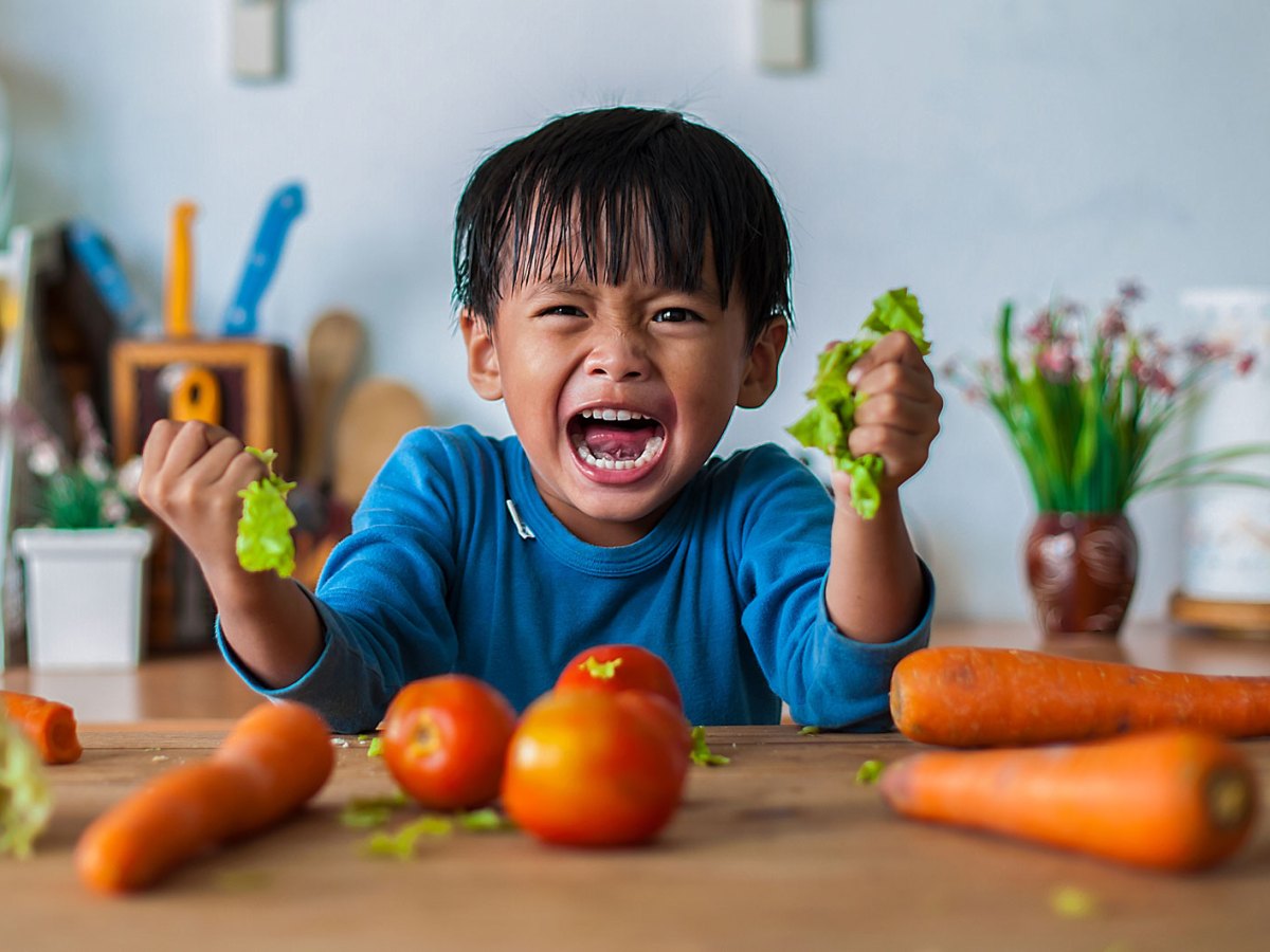 Junge, ca. 6 Jahre alt, steht in der K&uuml;che und schreit w&uuml;tend in die Kamera, dabei zerdr&uuml;ckt er zwei Salatbl&auml;tter. Vor ihm liegen Karotten und Tomaten.