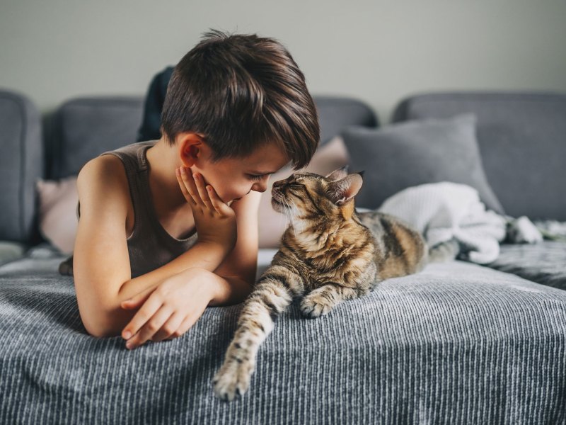 Junge schmust mit einer Katze auf dem Sofa.