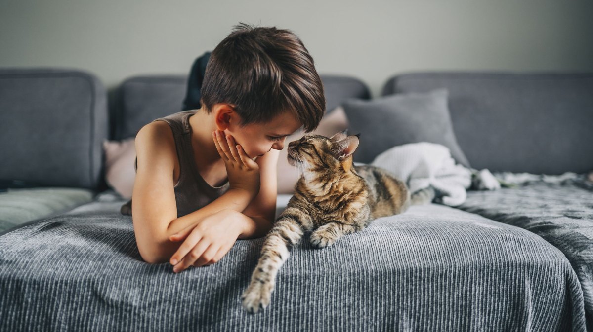 Junge schmust mit einer Katze auf dem Sofa.