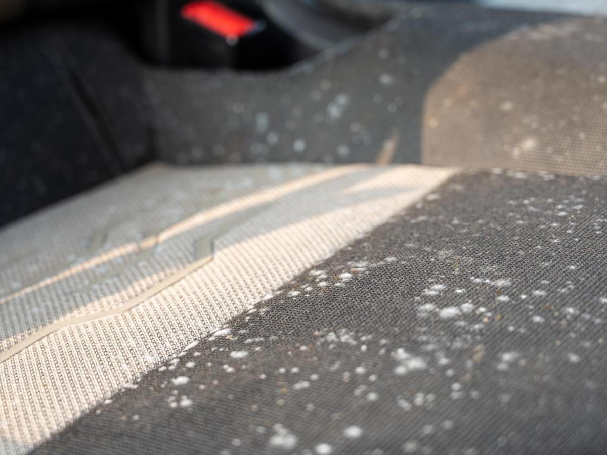 Polster von einem Autositz ist voll von Schimmelsporen.