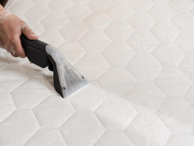 Hand in Nahaufnahme mit einem Polsterreiniger, der eine Matratze reinigt.