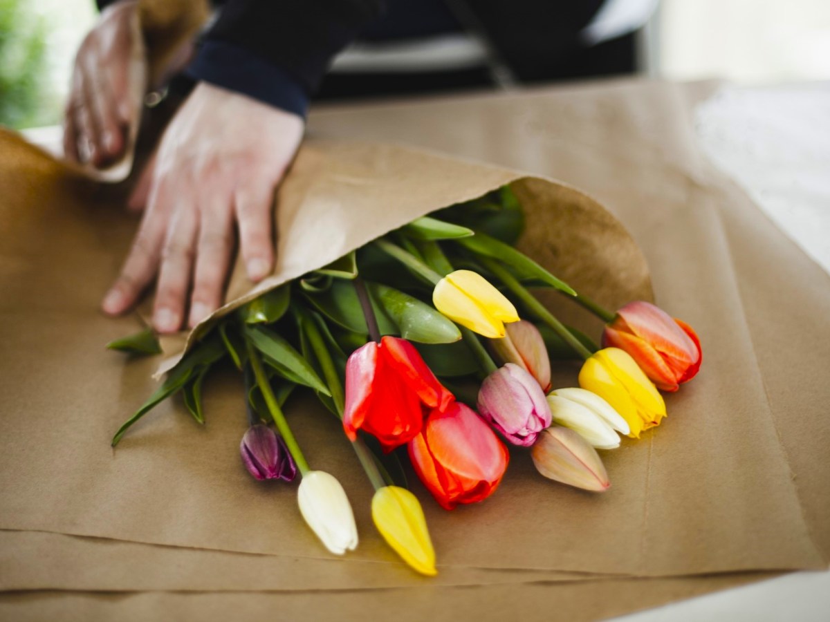 H&auml;nde packen Tulpen in Papier