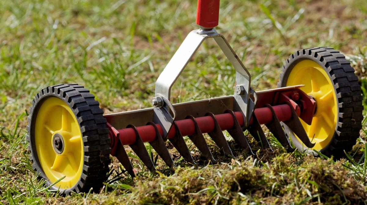 Vertikutierer steht auf dem Rasen.