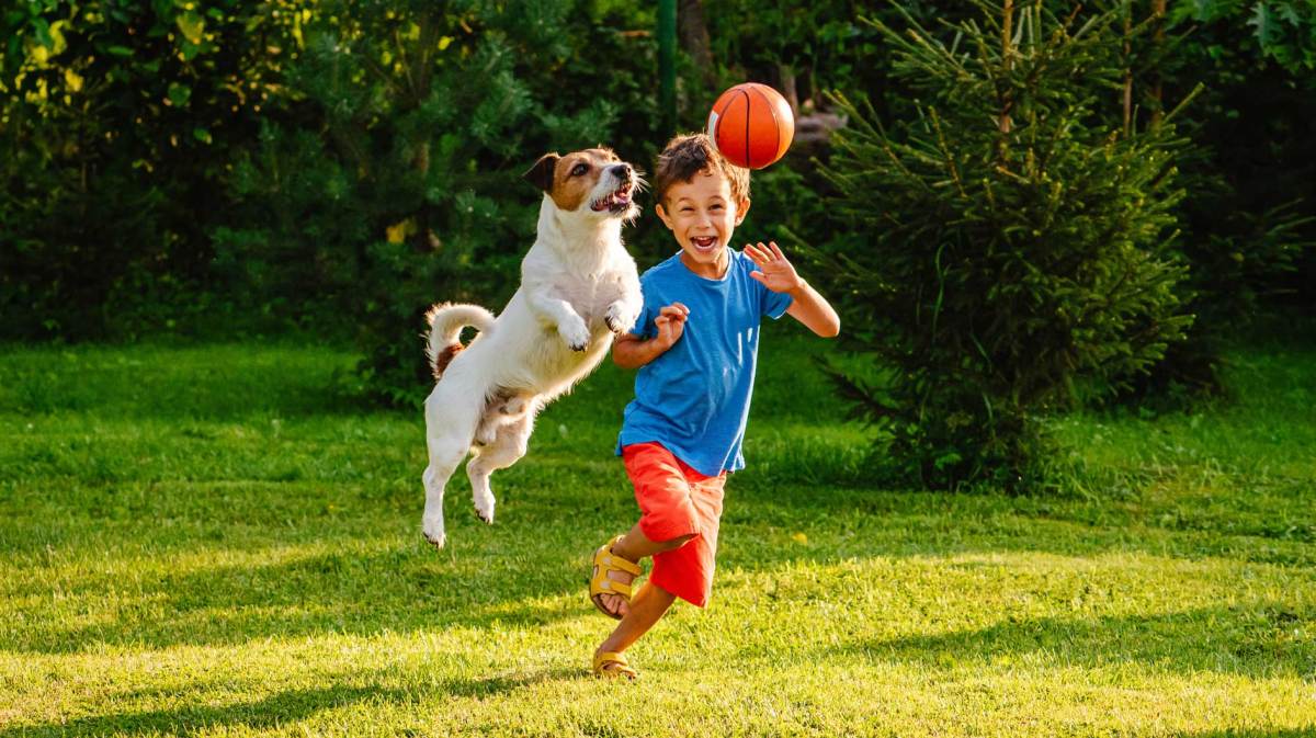 Junge und Hund spielen im Garten mit dem Ball.