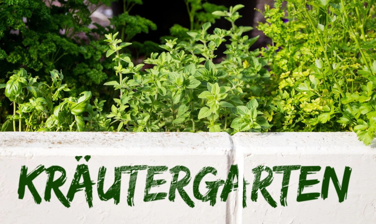 Kräutergarten mit Schild draußen.