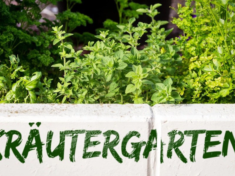 Kräutergarten mit Schild draußen.