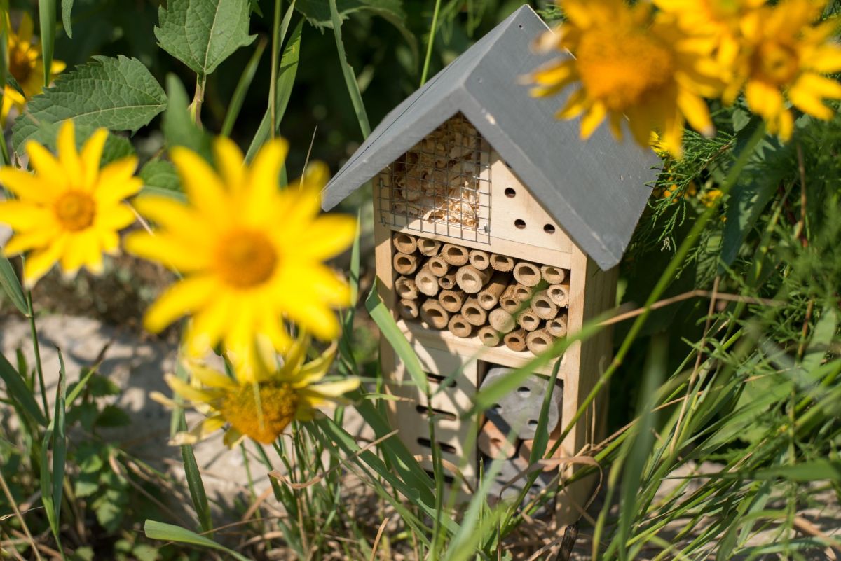 Insektenhotel mit gelber Blumen davor