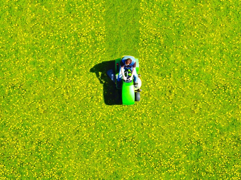 Blick aus der Luft auf Rasen, der von Mensch auf Aufsitzrasenmäher gemäht wird
