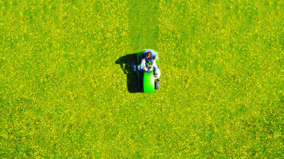Blick aus der Luft auf Rasen, der von Mensch auf Aufsitzrasenmäher gemäht wird