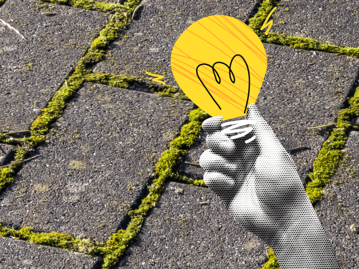 Moos auf Pflastersteinen entfernen mit Glühlampe