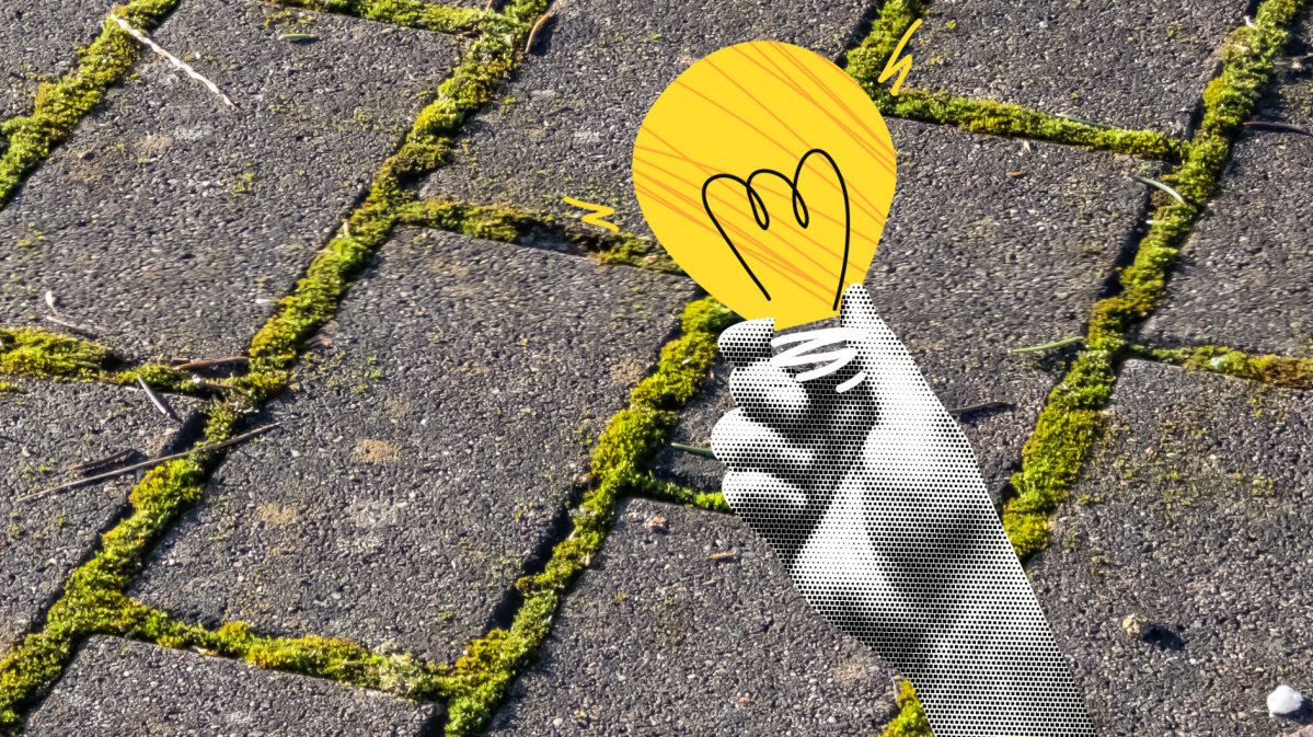 Moos auf Pflastersteinen entfernen mit Glühlampe