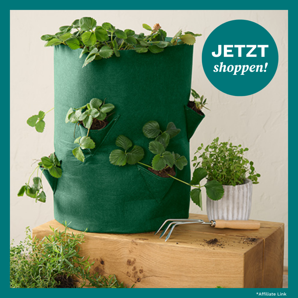 Pflanztasche mit Erdbeeren drin von Tchibo.