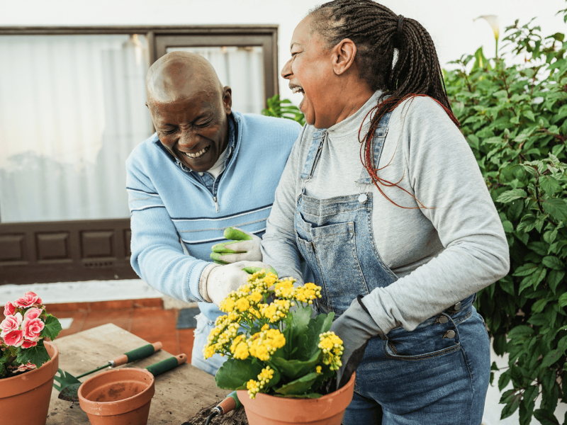 Ein älterer Mann und eine Frau lachen zusammen, während die Blumen in Übertöpfe einpflanzen.