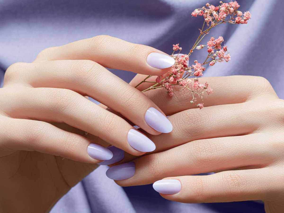 Lila lackierte Fingern&auml;gel halten eine Blume fest