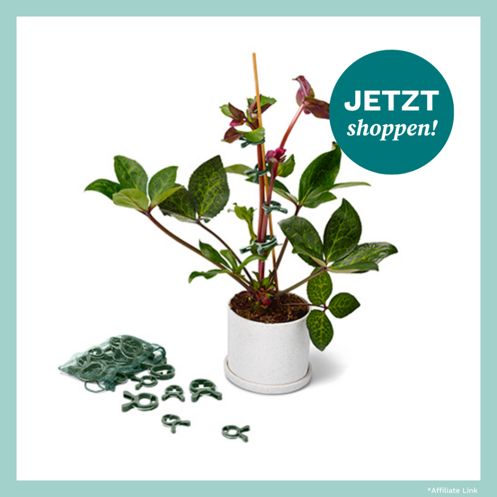 Produktbild von Pflanzenclips von Tchibo.