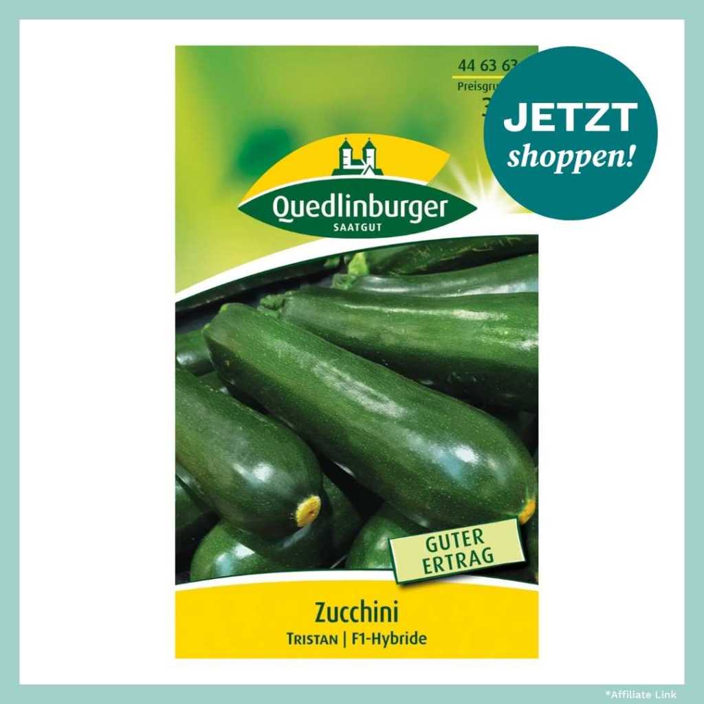Zucchini Saatgut