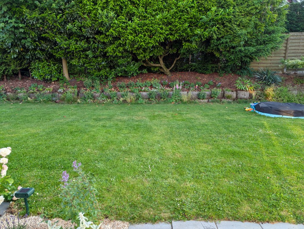 Garten mit Rasen und Beeten