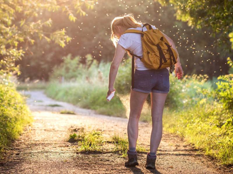 Frau auf einem Waldweg im Sommer, die sich mit Insektenschutz einspr&uuml;ht.
