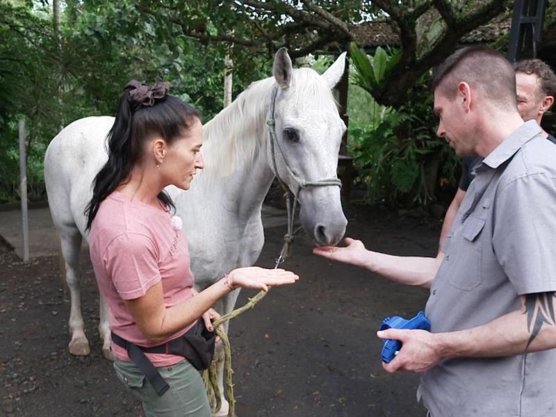 Patrick und Sven und Carmen bei einem Pferd.