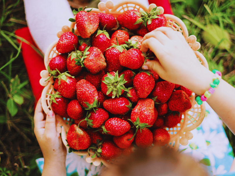 Kind sitzt mit großer Schale Erdbeeren auf dem Schoß in der Wiese
