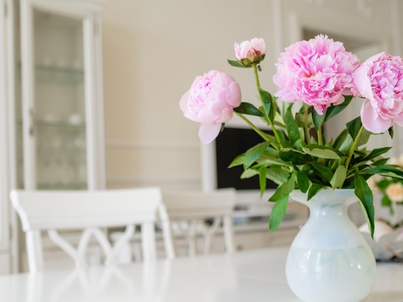 Rosa Pfingstrosen in einer Vase auf dem Tisch in der Küche