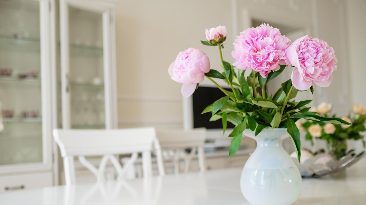 Rosa Pfingstrosen in einer Vase auf dem Tisch in der Küche