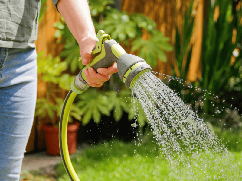Person bewässert mit Gartenschlauch seinen Garten.