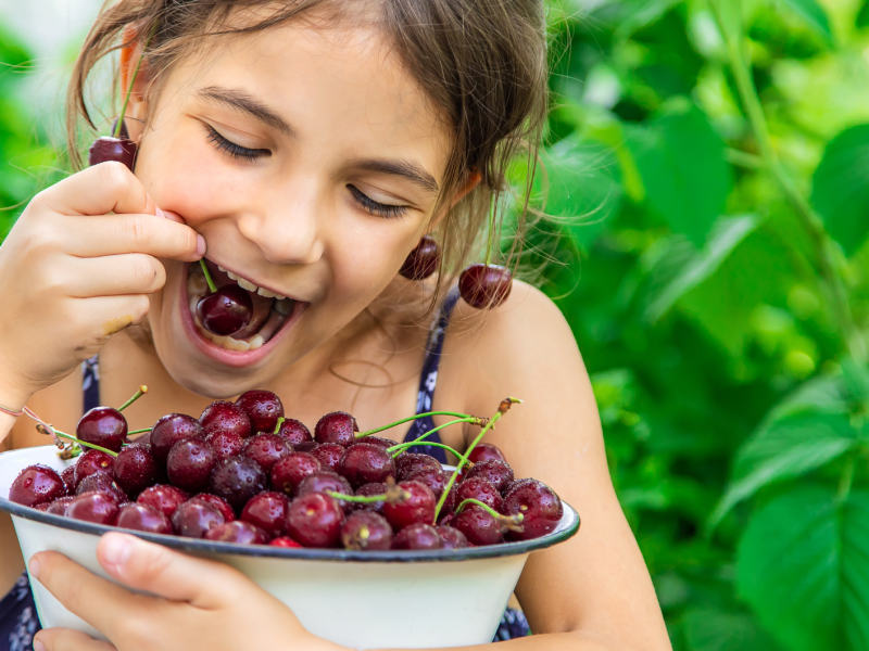 Mädchen mit braunen Haaren hat eine Schüssel Kirschen in der Hand und isst davon.