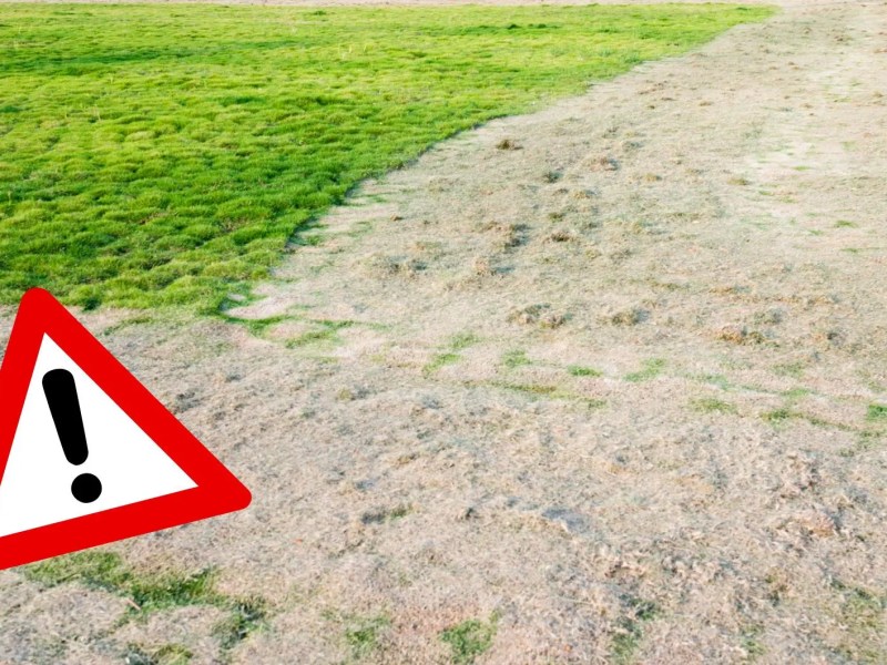 Eine Wiese, die gesandet wurde. Unten links ist eine Grafik von einem Achtung-Schild.