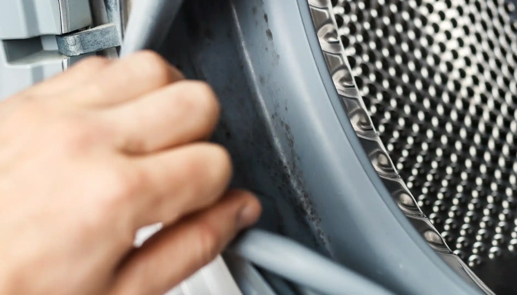 Fettl&auml;use an der Waschmaschinen-Dichtung