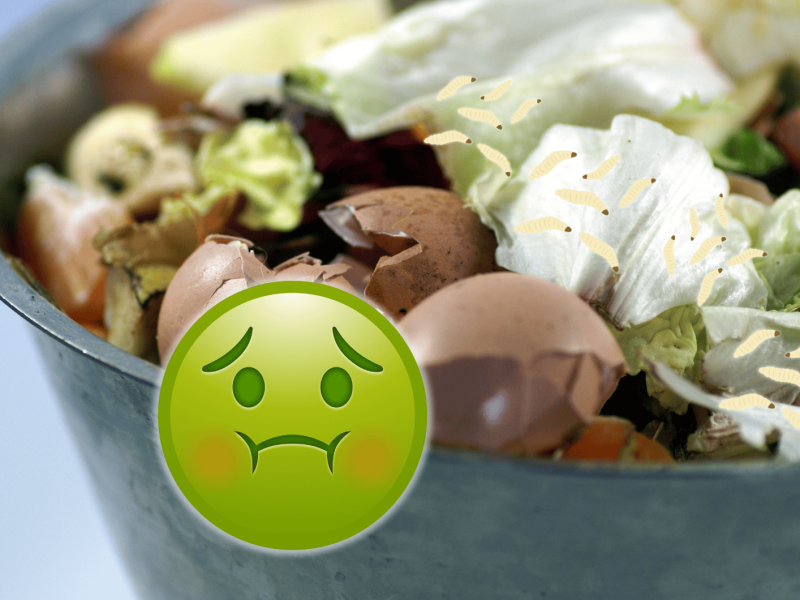 Biomüll mit Zeichnungen von Maden und einem Ekel-Emoji