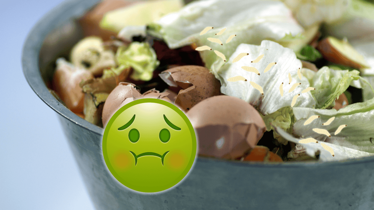 Biomüll mit Zeichnungen von Maden und einem Ekel-Emoji
