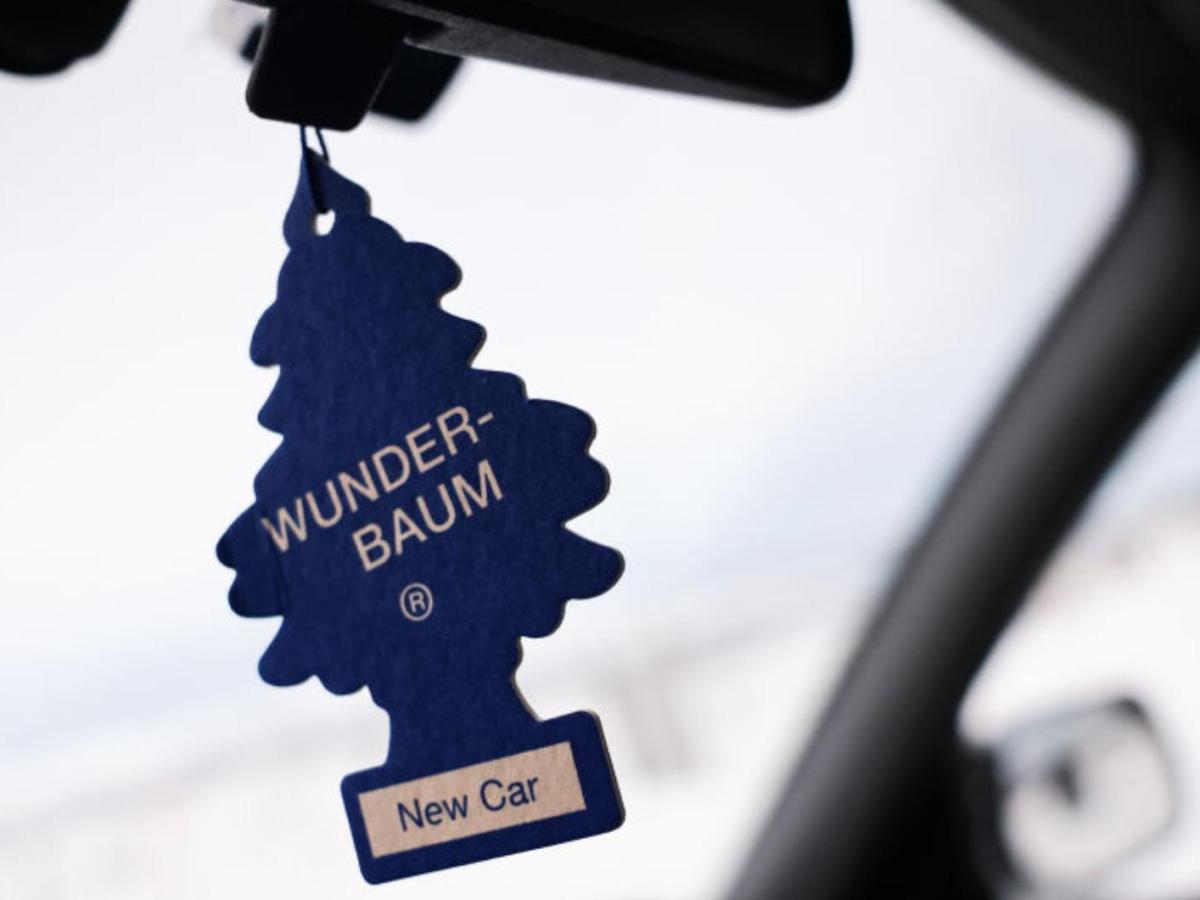 Blauer Wunderbaum im Auto.