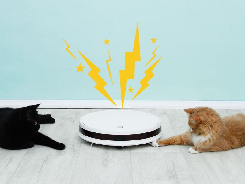 Zwei Katzen liegen rechts und links neben weißem Saugroboter auf dem Boden