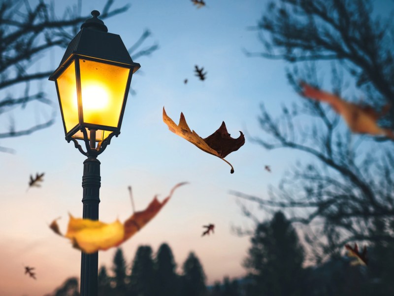 Herbstnacht mit leuchtender Laterne und im Wind wehenden Blättern