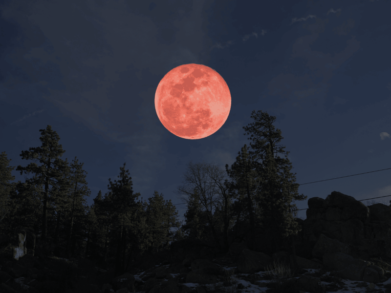 Roter Blutmond an Nachthimmel über Wald.