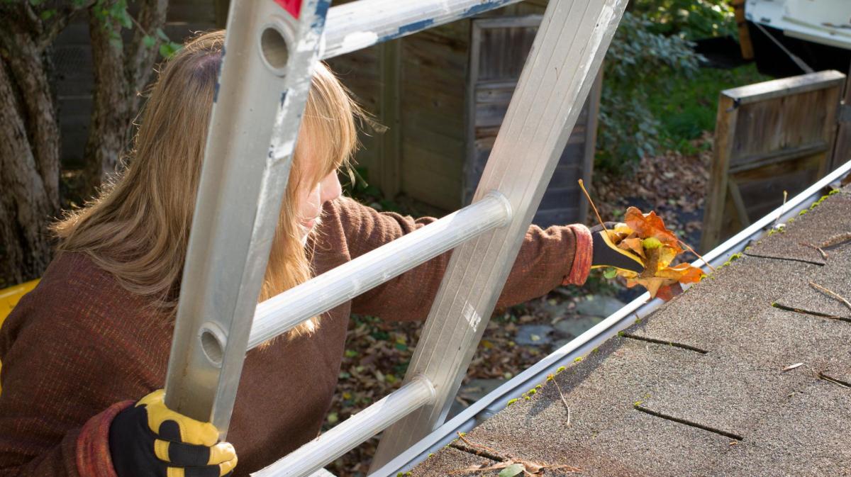 Frau steht auf einer Leiter am Dach und macht die Dachrinne sauber.