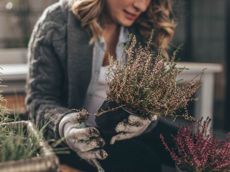 Frau topft Pflanzen auf Balkon um