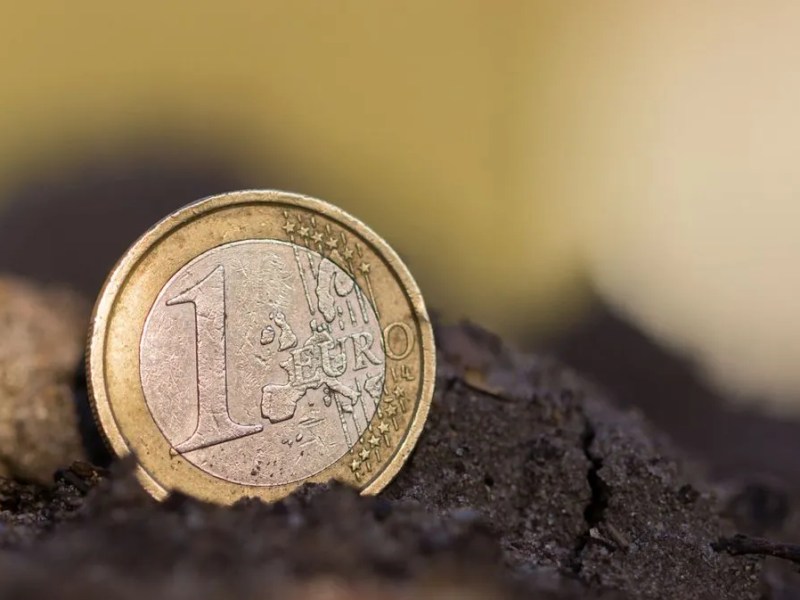 Ein Euro liegt in der Erde.