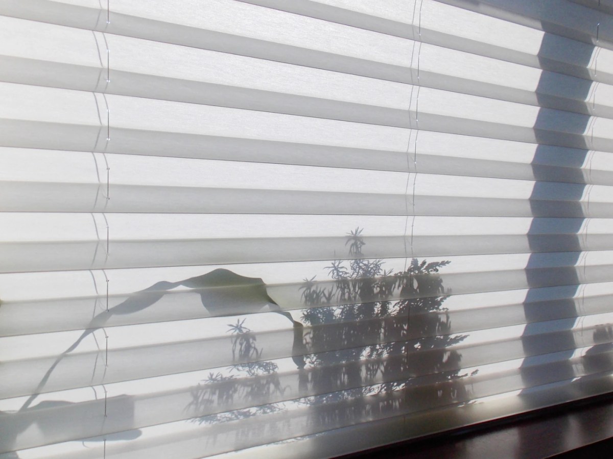 Vor einer Fensterfront h&auml;ngt ein wei&szlig;es Plissee