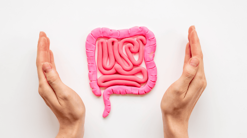 Menschlicher Darm, Form des Dickdarms mit H&auml;nden. Probleme des Verdauungstrakts, Kolitis