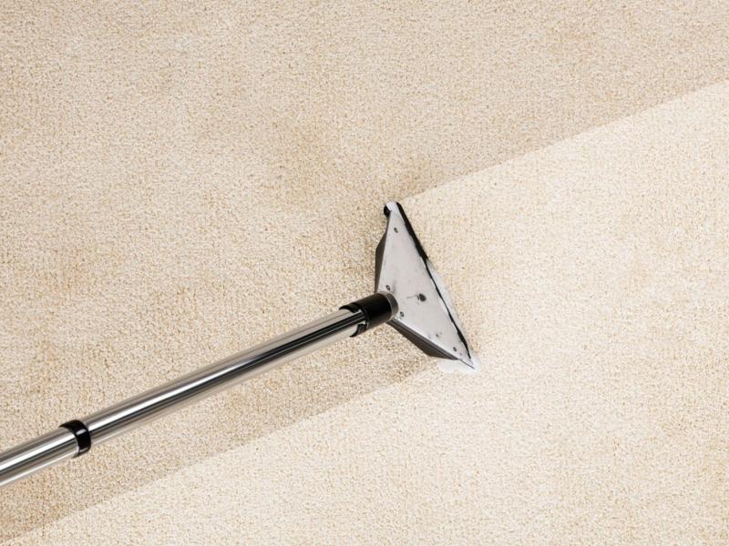 Der Teppich wird mit einem Nasssauger gereinigt.