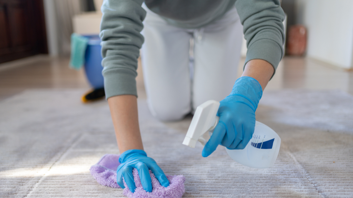 Frau reinigt einen Teppich mit einem Schwamm.