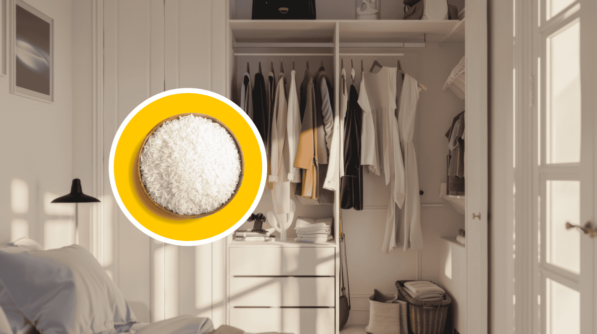 Geöffneter Kleiderschrank, darüber eine Schale mit Reis platziert.
