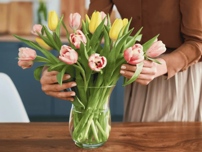 Frau ordnet Tulpen in Glasvase an.